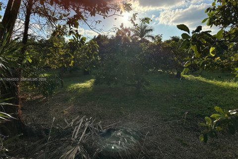 Commercial property in Homestead, Florida № 2026303 - photo 8