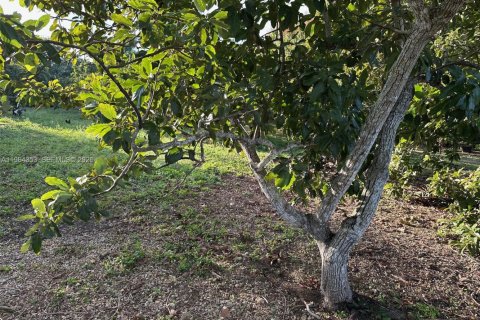 Commercial property in Homestead, Florida № 2026303 - photo 9