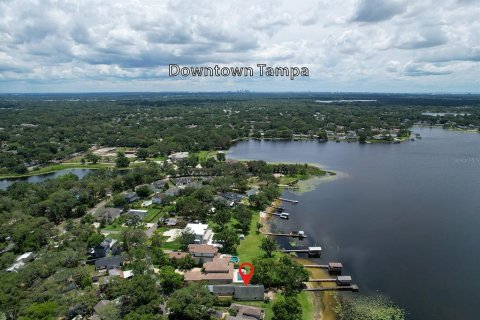 Land in Tampa, Florida № 1770132 - photo 12