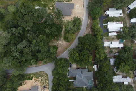 Terrain à Dade City, Floride № 2162380