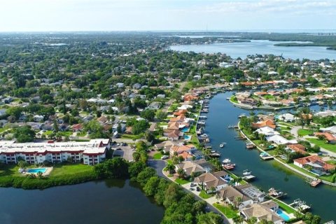 Condo in Saint Petersburg, Florida, 2 bedrooms № 2234720 - photo 24