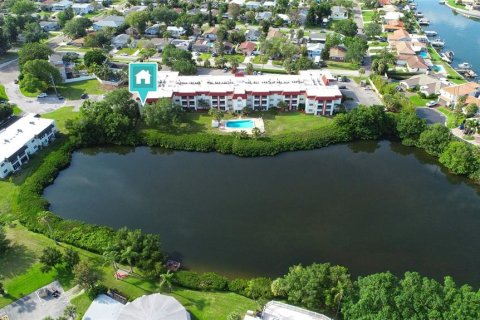 Condo in Saint Petersburg, Florida, 2 bedrooms № 2234720