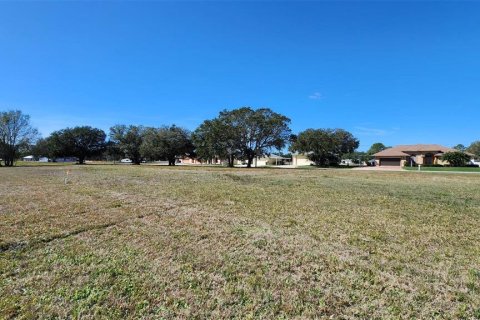 Land in Lake Wales, Florida № 1724035 - photo 4