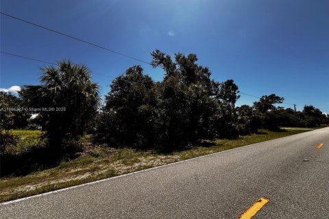 Terrain à vendre à Port Charlotte, Floride № 1963032 - photo 6