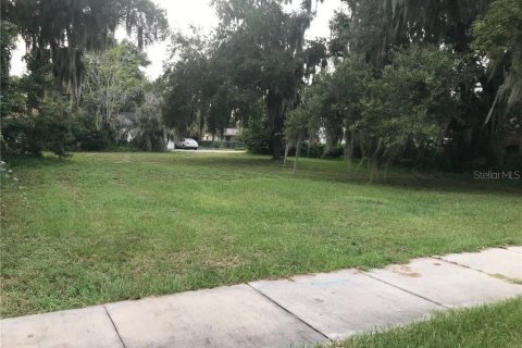 Immobilier commercial à vendre à Tavares, Floride № 213516 - photo 5