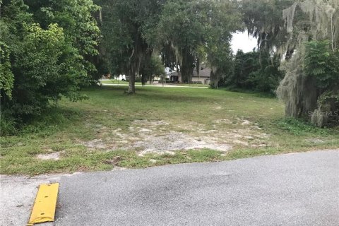 Immobilier commercial à vendre à Tavares, Floride № 213516 - photo 6