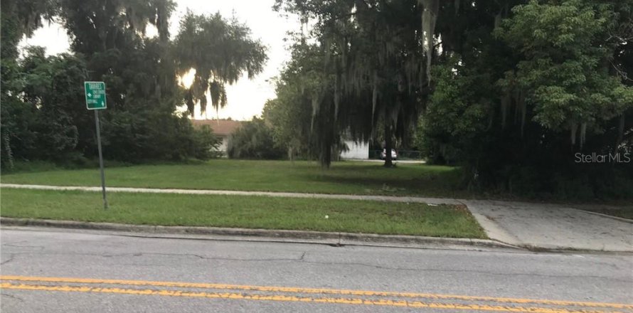 Immobilier commercial à Tavares, Floride № 213516