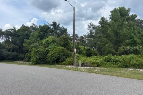 Land in Haines City, Florida № 2108045