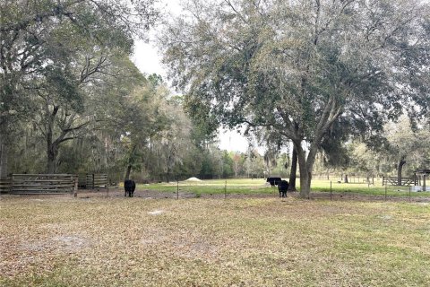 Casa en venta en Wesley Chapel, Florida, 3 dormitorios, 214.51 m2 № 1609207 - foto 11