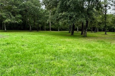 Купить земельный участок в Бруксвилл, Флорида № 1442635 - фото 7