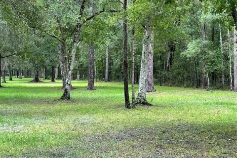 Купить земельный участок в Бруксвилл, Флорида № 1442635 - фото 2