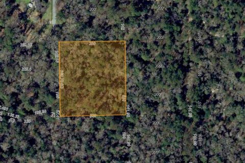 Terrain à Tallahassee, Floride № 2104031