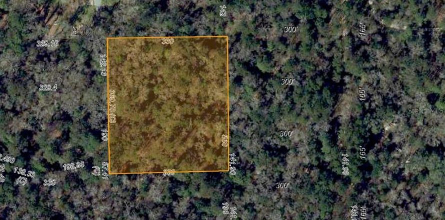 Land in Tallahassee, Florida № 2104031