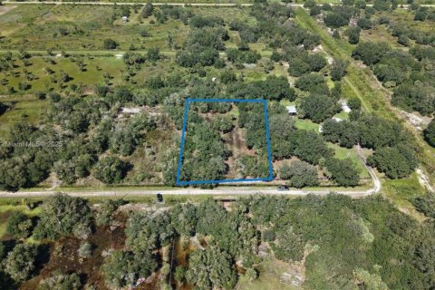 Land in Okeechobee, Florida № 2158444 - photo 25
