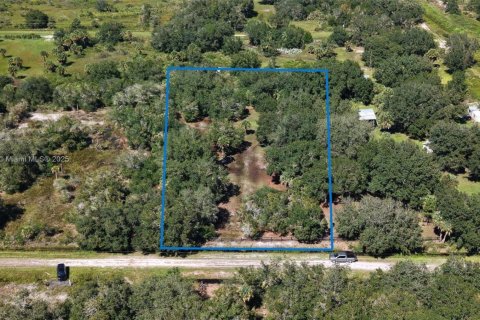 Land in Okeechobee, Florida № 2158444