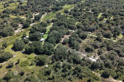 Land in Okeechobee, Florida № 2158444 - photo 14