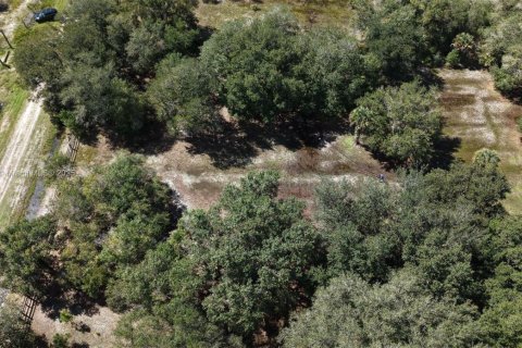 Land in Okeechobee, Florida № 2158444 - photo 5