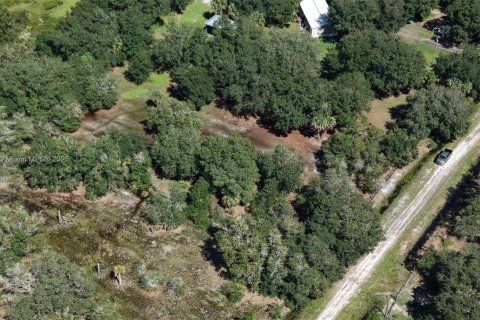 Land in Okeechobee, Florida № 2158444 - photo 17