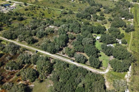Land in Okeechobee, Florida № 2158444 - photo 9