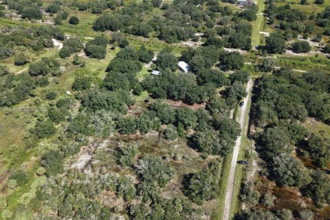 Land in Okeechobee, Florida № 2158444 - photo 16
