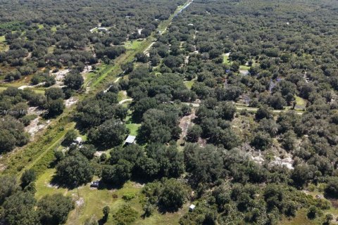 Land in Okeechobee, Florida № 2158444 - photo 13