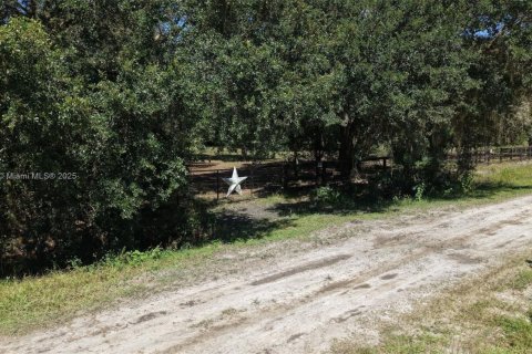 Land in Okeechobee, Florida № 2158444 - photo 23