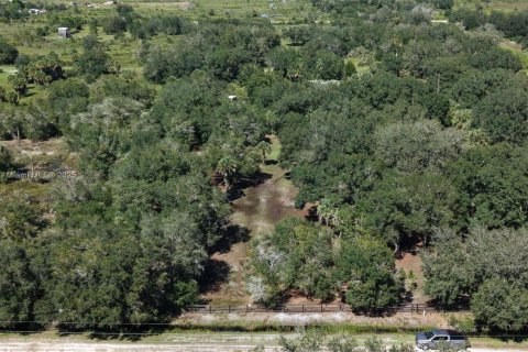 Land in Okeechobee, Florida № 2158444 - photo 19