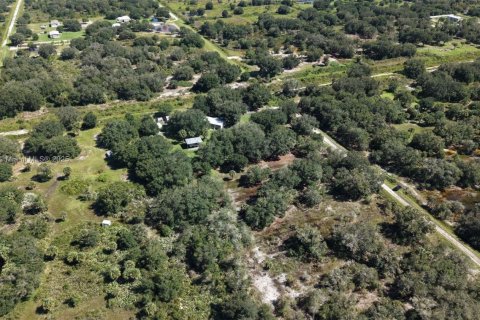 Land in Okeechobee, Florida № 2158444 - photo 15