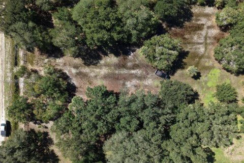 Land in Okeechobee, Florida № 2158444 - photo 7