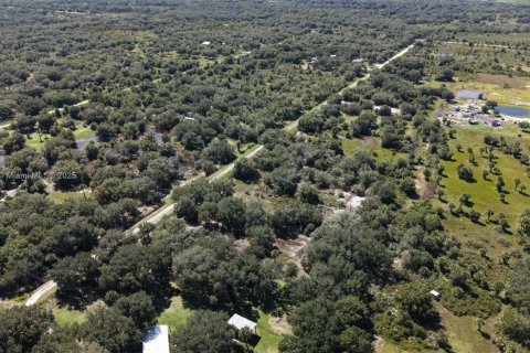 Land in Okeechobee, Florida № 2158444 - photo 12