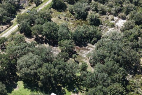 Land in Okeechobee, Florida № 2158444 - photo 11