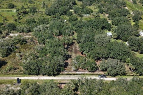 Land in Okeechobee, Florida № 2158444 - photo 24