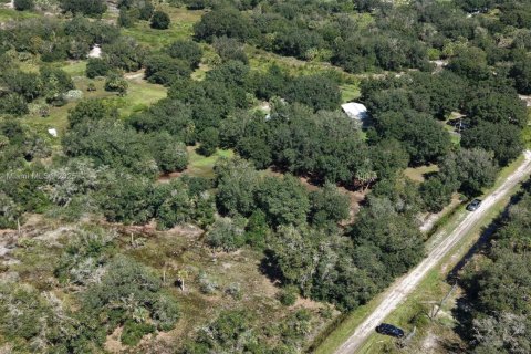 Land in Okeechobee, Florida № 2158444 - photo 18