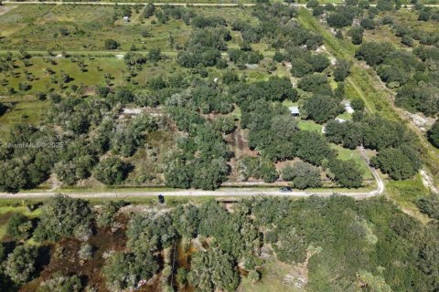 Land in Okeechobee, Florida № 2158444 - photo 8