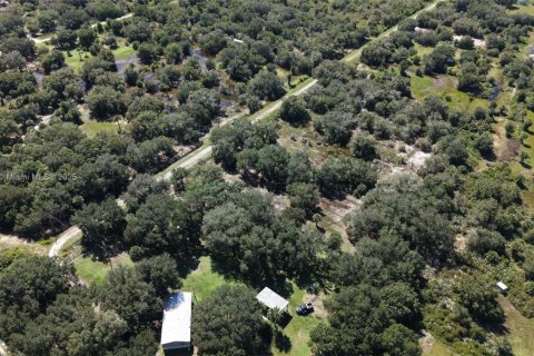 Land in Okeechobee, Florida № 2158444 - photo 26