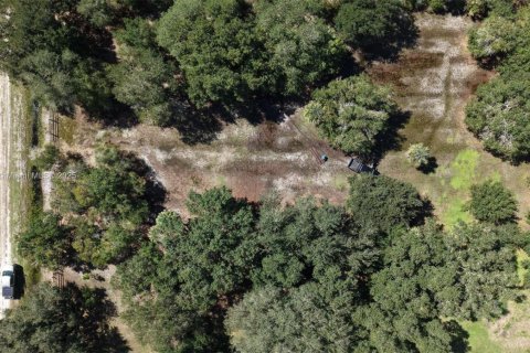 Land in Okeechobee, Florida № 2158444 - photo 6