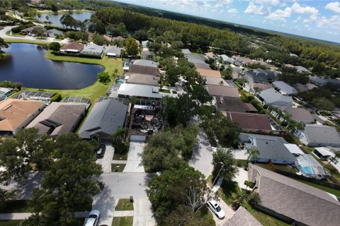 Land in Lutz, Florida № 1910270 - photo 8