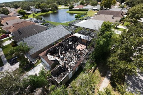 Land in Lutz, Florida № 1910270 - photo 6