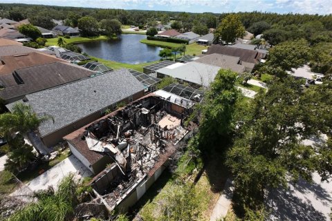 Land in Lutz, Florida № 1910270 - photo 7