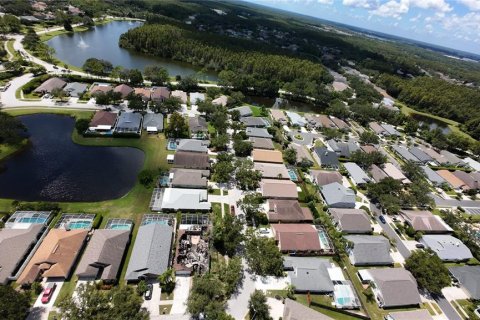 Land in Lutz, Florida № 1910270 - photo 2