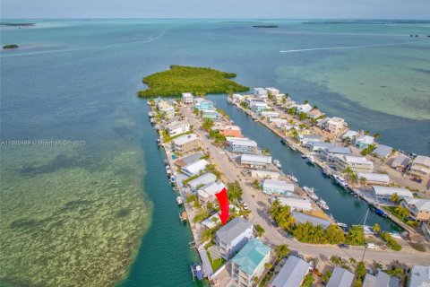House in Tavernier, Florida 3 bedrooms, 245.08 sq.m. № 1889787 - photo 3