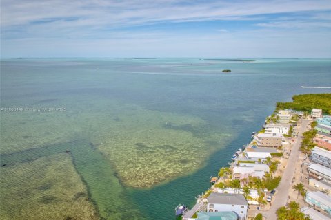 House in Tavernier, Florida 3 bedrooms, 245.08 sq.m. № 1889787 - photo 4
