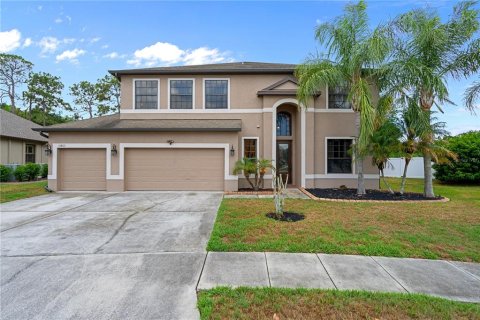 House in Land O' Lakes, Florida 4 bedrooms, 319.58 sq.m. № 2218976