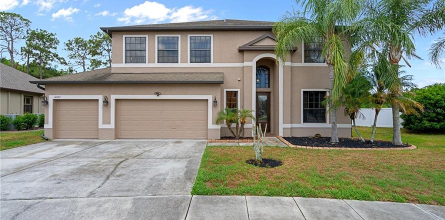 Casa en Land O' Lakes, Florida 4 dormitorios, 319.58 m2 № 2218976
