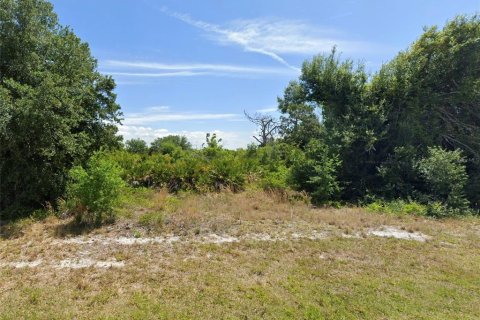 Land in Port Charlotte, Florida № 2359148