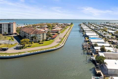 Copropriété à louer à Clearwater, Floride: 1 chambre, 81.29 m2 № 2324008 - photo 3