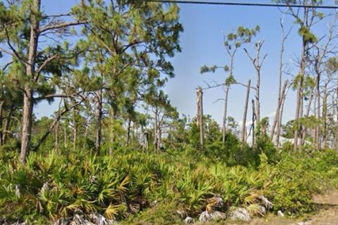 Land in Rotonda, Florida № 2161255