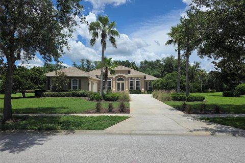 House in Lutz, Florida 4 bedrooms, 322.74 sq.m. № 1819118 - photo 5