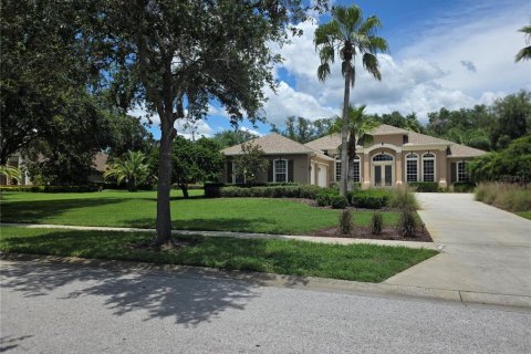House in Lutz, Florida 4 bedrooms, 322.74 sq.m. № 1819118 - photo 6