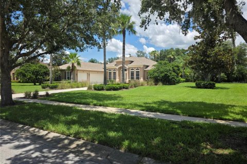 House in Lutz, Florida 4 bedrooms, 322.74 sq.m. № 1819118 - photo 1